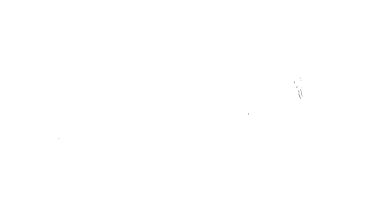 1000 Räder