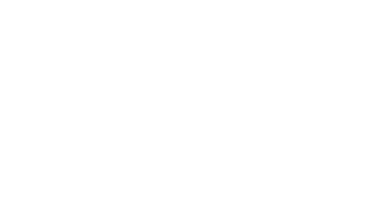 Acerbis